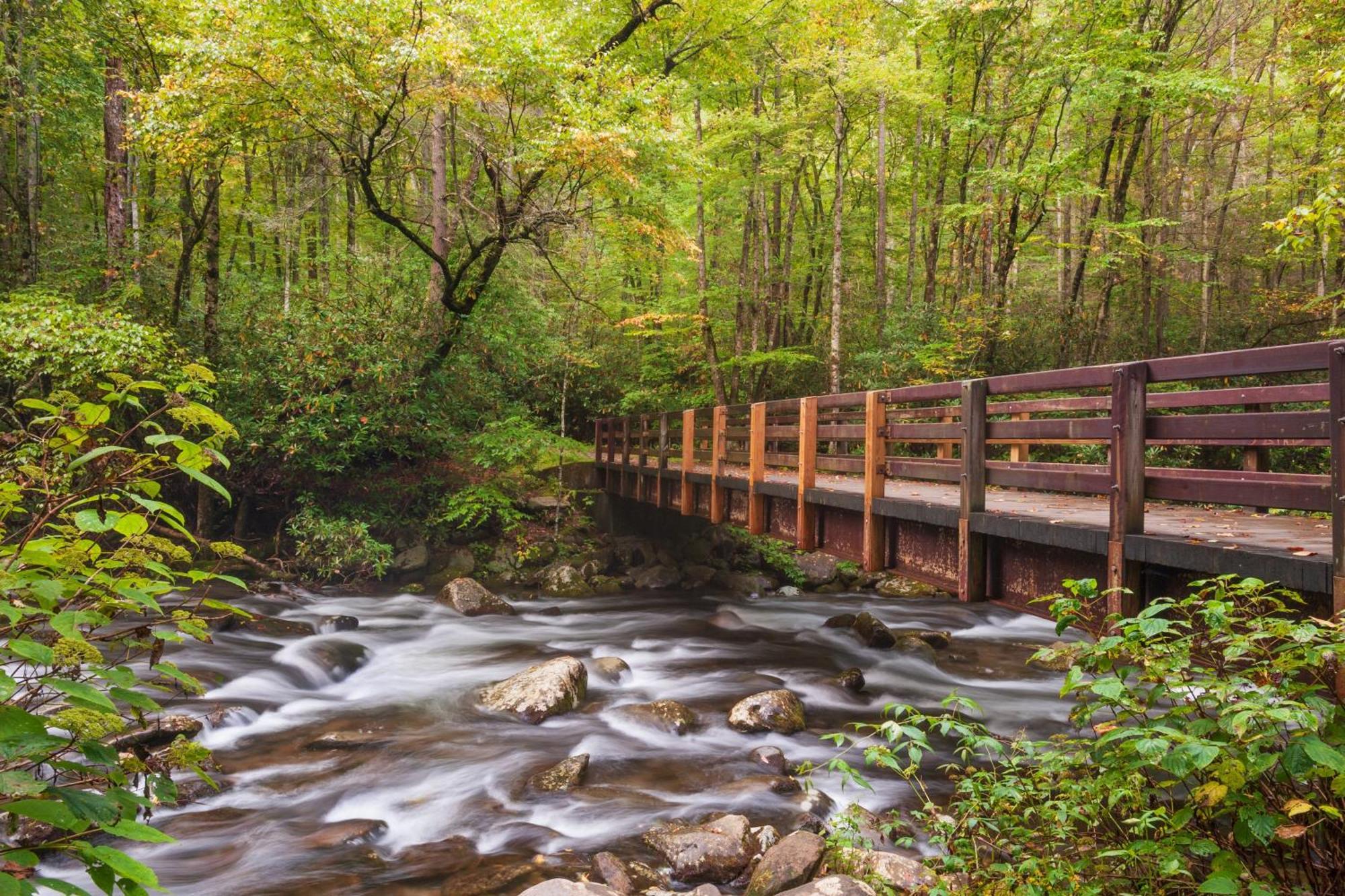 Majestic View Lodge, Amazing Views, Hot Tub, 1089 Free Tickets Each Paid Day, Dollywood And More Gatlinburg Exterior foto